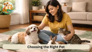 How to choose the right pet for your lifestyle